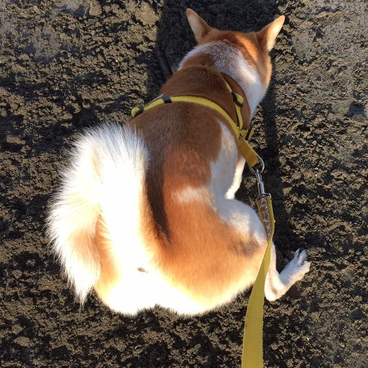 527b0042 36f2 43f4 95cd b90465321d01