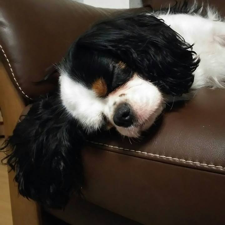 527b8cd3 4b49 45fd add7 b1ac2dc7fae4