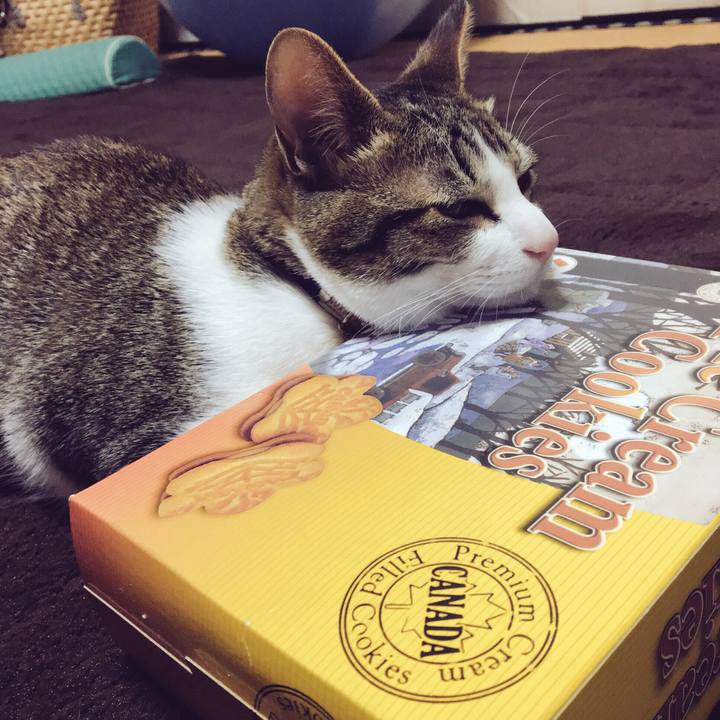 527bd96c 0d35 4488 8d45 18b44d9fccd9