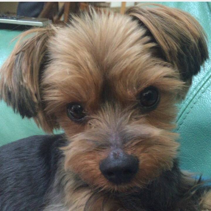 527c87ed e675 41cd 866c 3f1d99221e0d