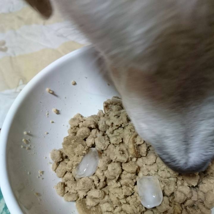 527cee91 0592 4fca 861f 841a3c577eb0