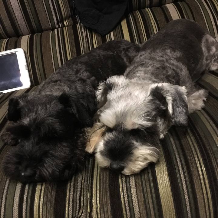 527d25e8 9e26 4780 843a 43a79cb3c30c