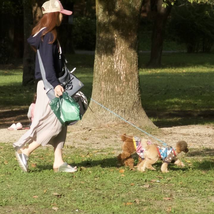 527dc815 58ad 4352 835f 38492e75afef