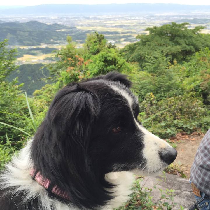 527e63a3 e03f 45d9 a979 ce65288dc659