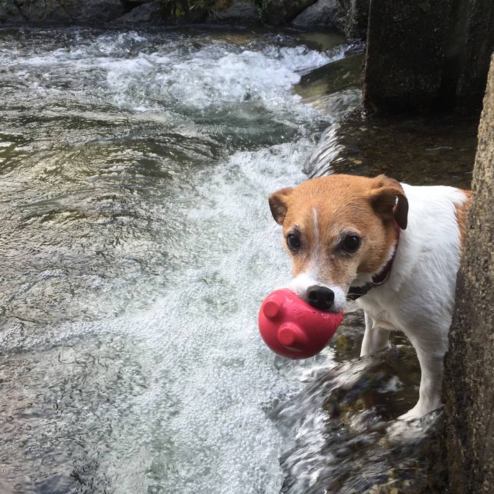 527eb602 6a49 4e09 b271 a3f1d50c3cc0