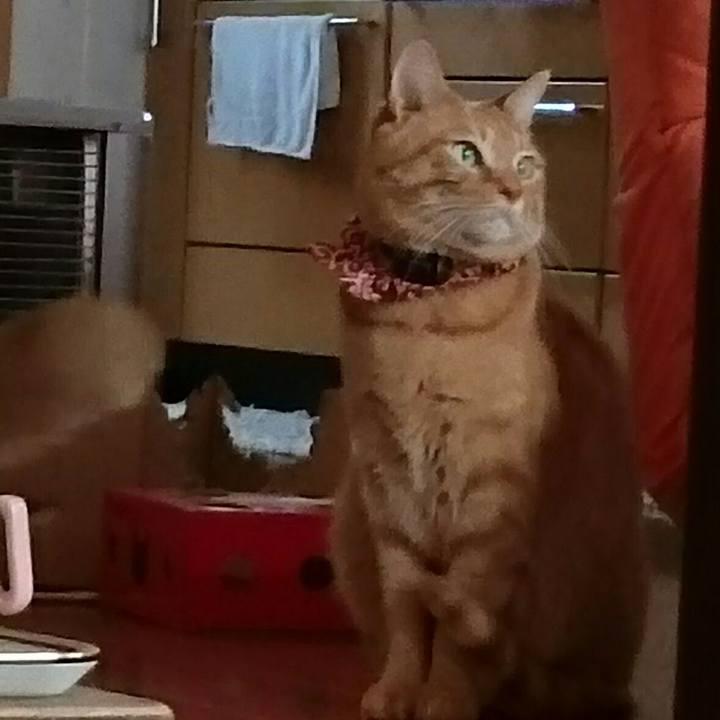 527f2641 1d43 4bc6 875b 2c3004363204