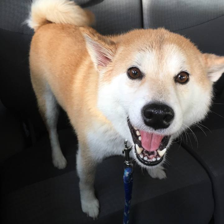 527faaa7 8c33 480c 8c94 84c2c26c82ea