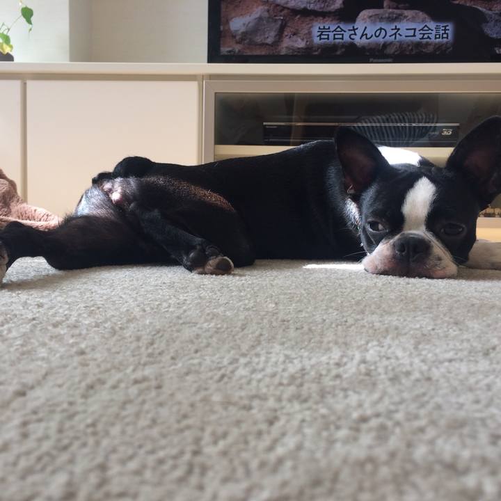 528071e2 ba98 49b6 8825 dd80bef6094c