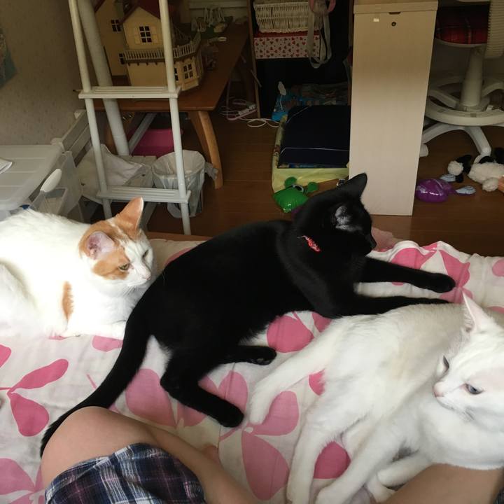 528090e7 0048 48ed 93b5 ecd24a0b0928