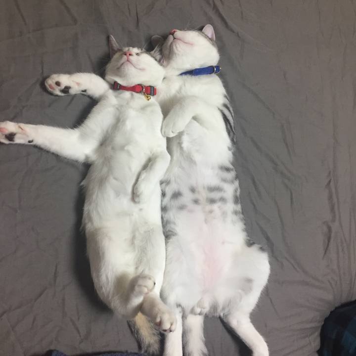 52811f39 554f 4246 9cf1 8c1729f63d19