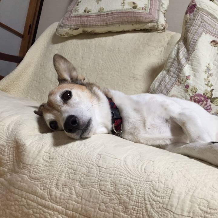 528192b1 1f5b 4516 8610 29cdbb96d0fc