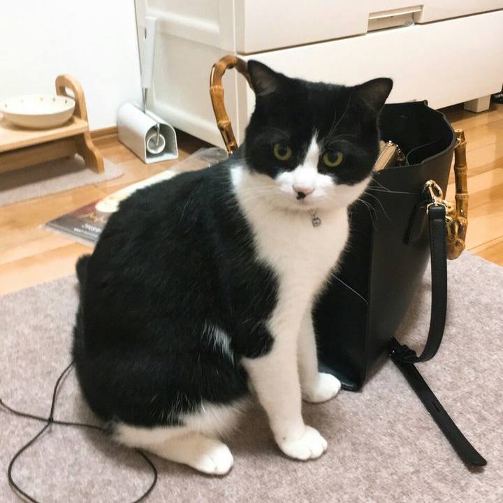 5281dddb 5440 4c11 8062 f4d9d306cd3f