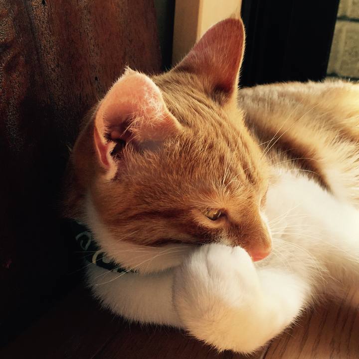 5282ea14 6630 4d7a 8184 d7537d7510f7