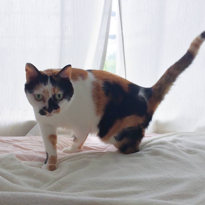 52831bc9 14ba 4899 af12 cfce969b2e51