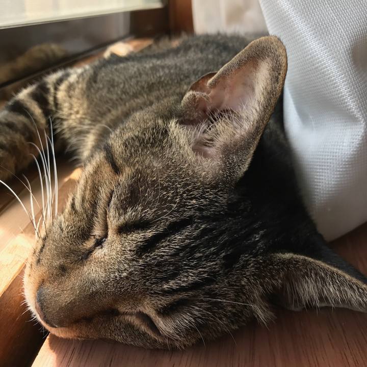 52834b31 763c 4110 b540 974dc89541ad