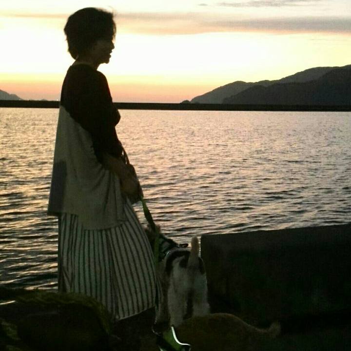 52836256 e615 44f9 a346 e71cd6ba8e13