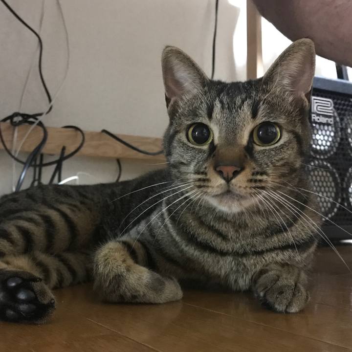 5283ca1f 6285 4e0d a092 4a6591167a4f