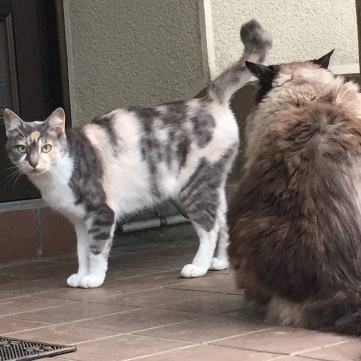 5284cd17 a6f7 4363 a7e1 8a79388e2932