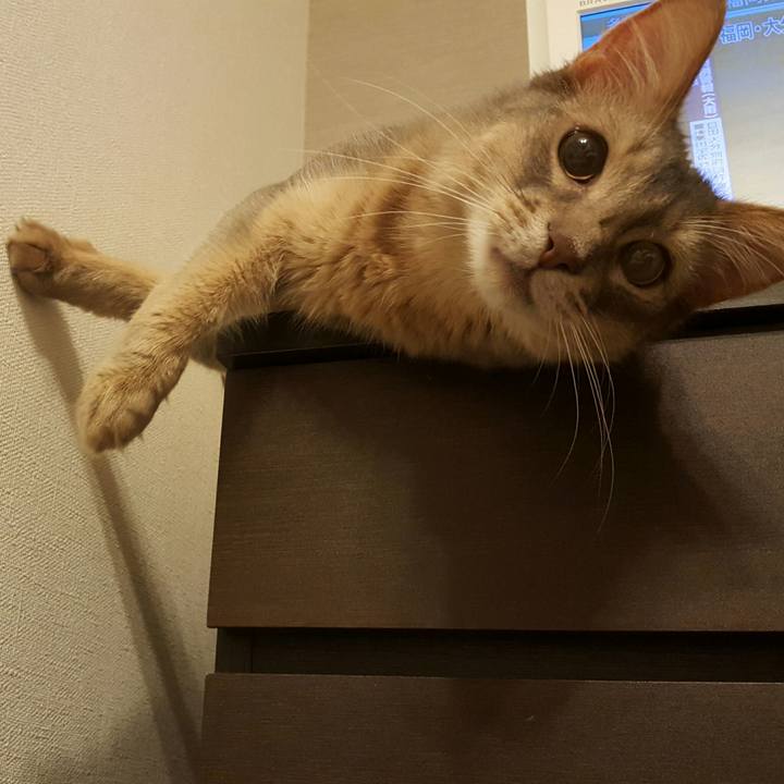 528535aa 3088 4ddd 8a3e 70dcd24341ea