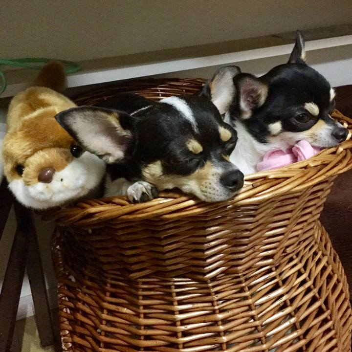 52856787 cbda 46b0 970e 89b21ffc639a