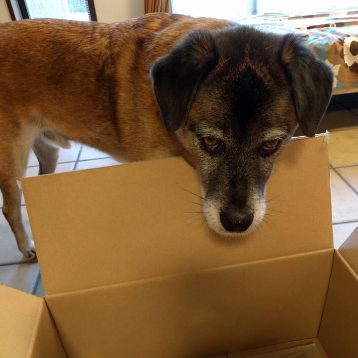 52857cb9 4861 4069 be05 67ac435efb02