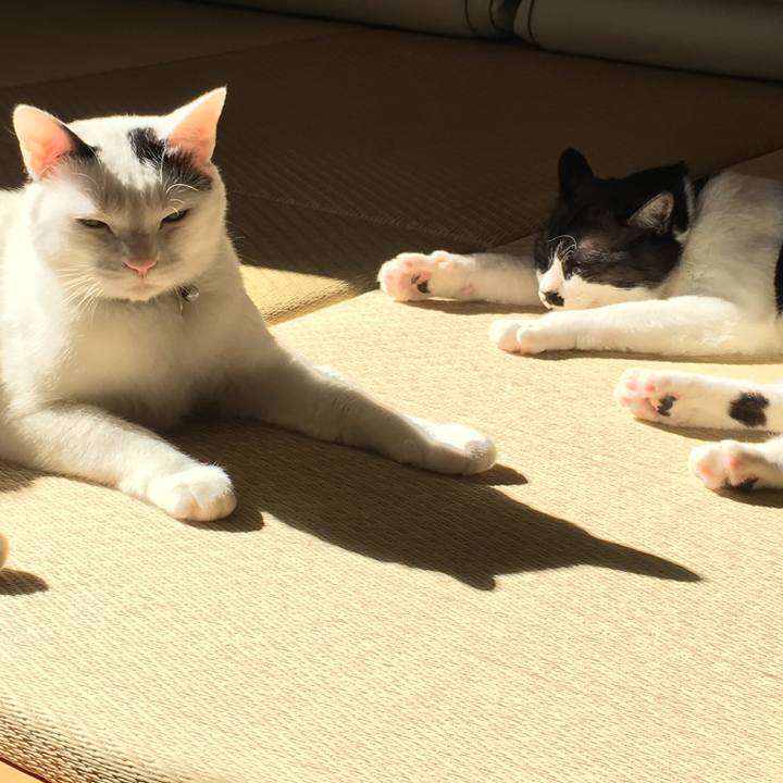 528634e6 bfe1 4245 b181 b516c00cf80b