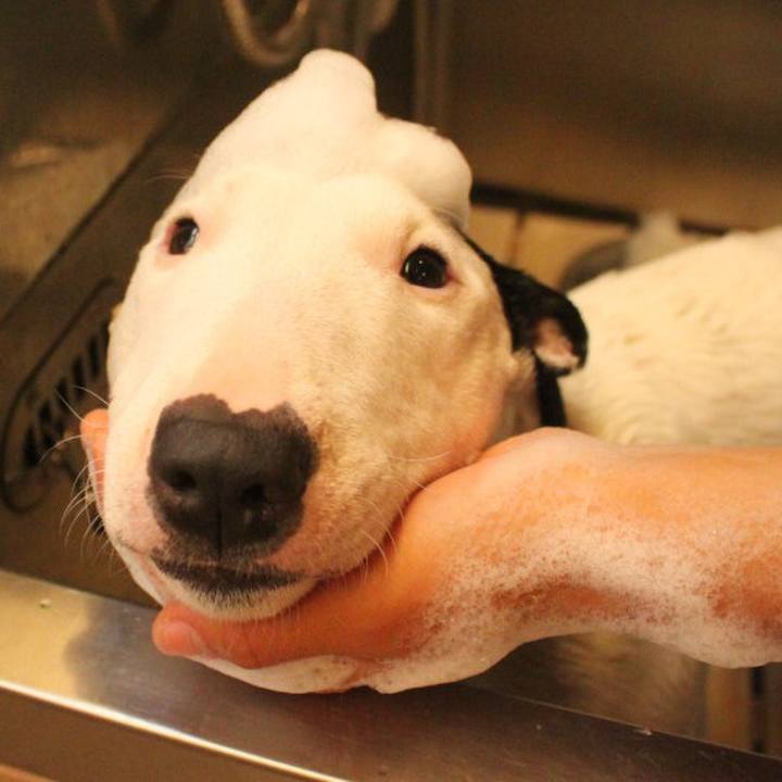 528644ba 4a20 4150 9d3a 90f34737341b