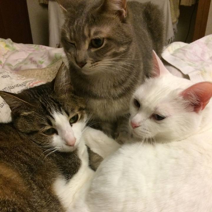 52864e83 91a8 431c b081 6a70b4cad6b1