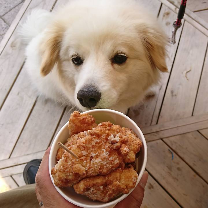 528673be 7cef 4305 bb3b 3f76d2b67a4b