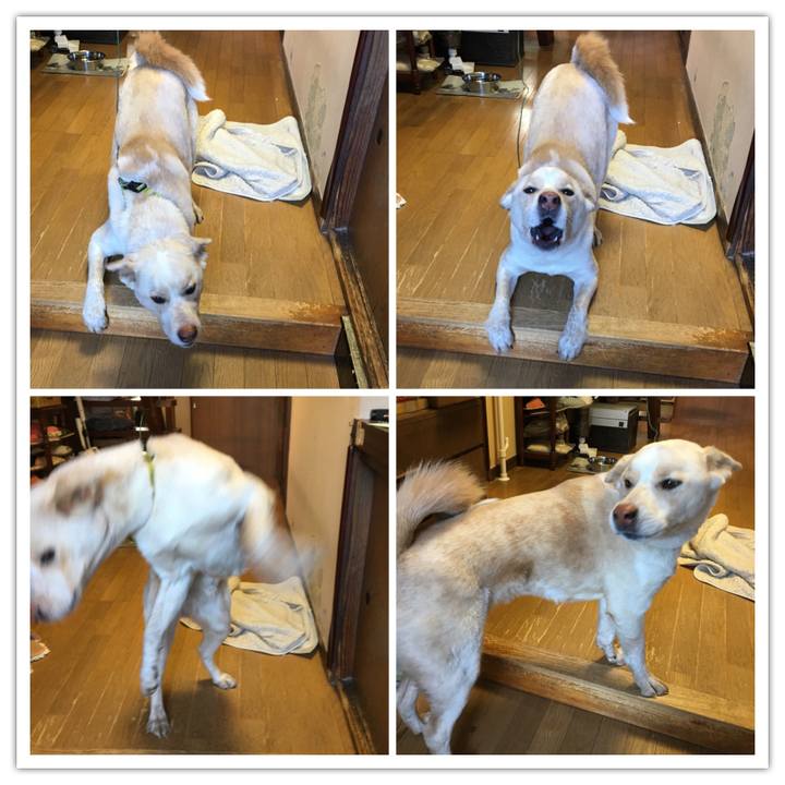 5286c5f4 0cc9 48a8 b956 e60a4e45d8f9