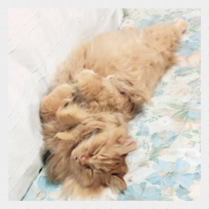 52871c60 ba3e 4ca3 ad13 3b6679988a5c