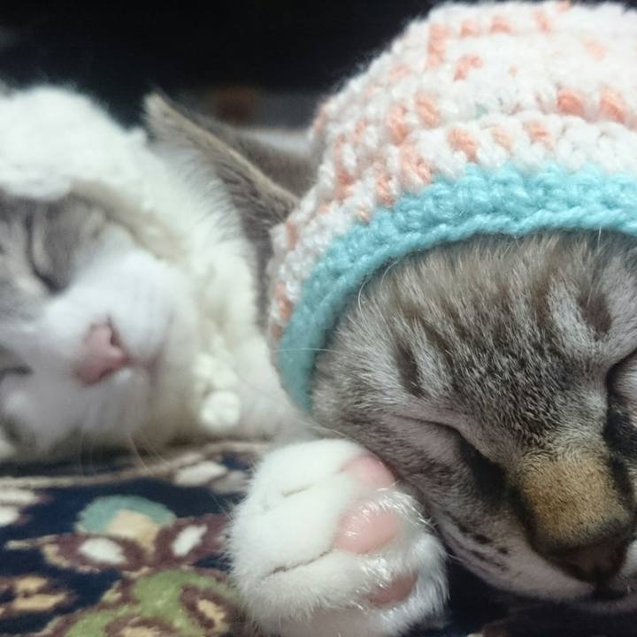 52874cf8 3cc8 40a6 9974 27dcad745fd1