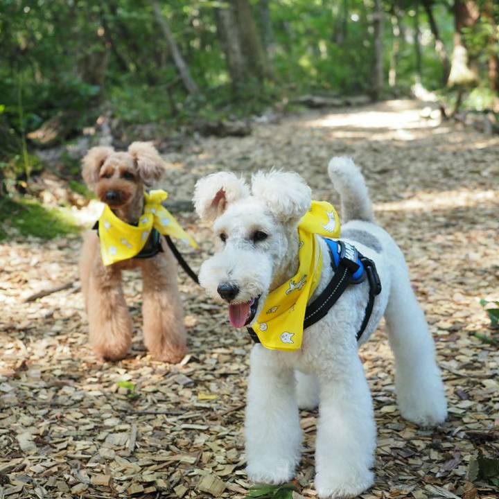 5288478e c52d 476e 919e 091f8a2c1d3d