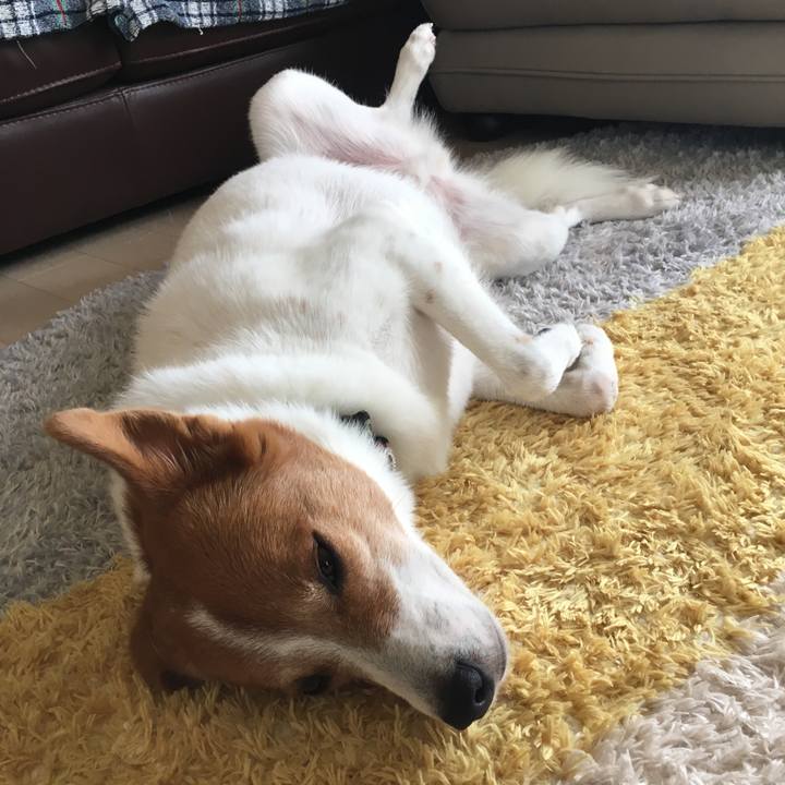 5288772d b8da 4ad1 b37e bc48984ca722