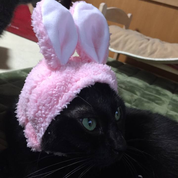 5288ed80 bd41 41ab a951 287d0e71b202