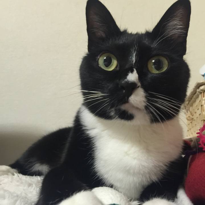 52893246 33ef 491c b57b b7377495c0ce