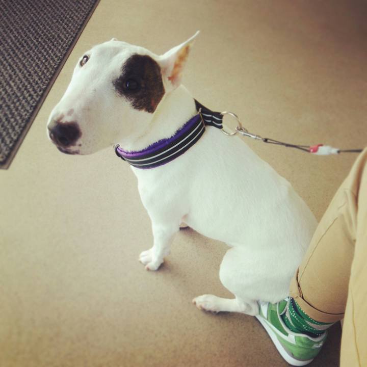 52899a32 6396 4a58 8172 54855a363f69