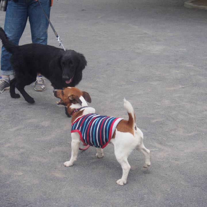 528a7af7 8b3e 44a1 83ba a8b85791dcc5