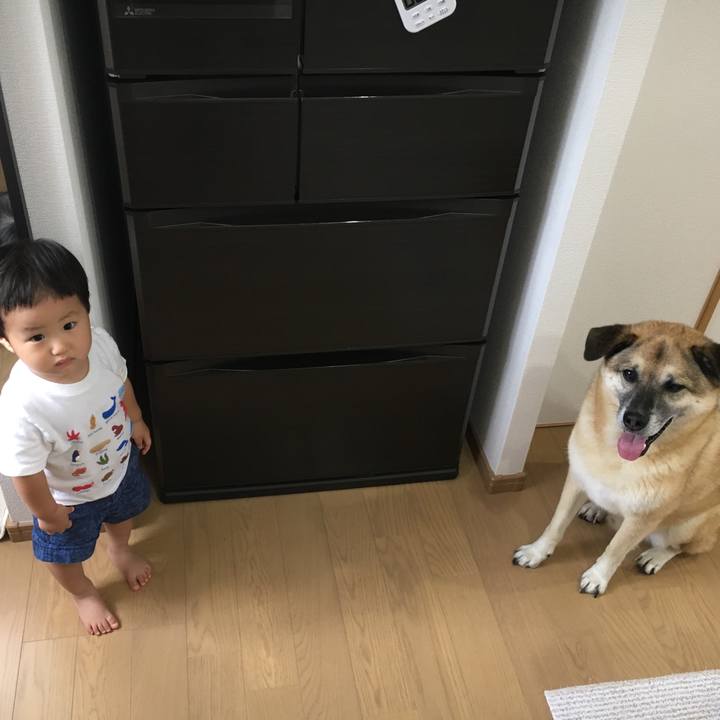 528a8512 bc58 4e72 8b85 45fc36f3859e