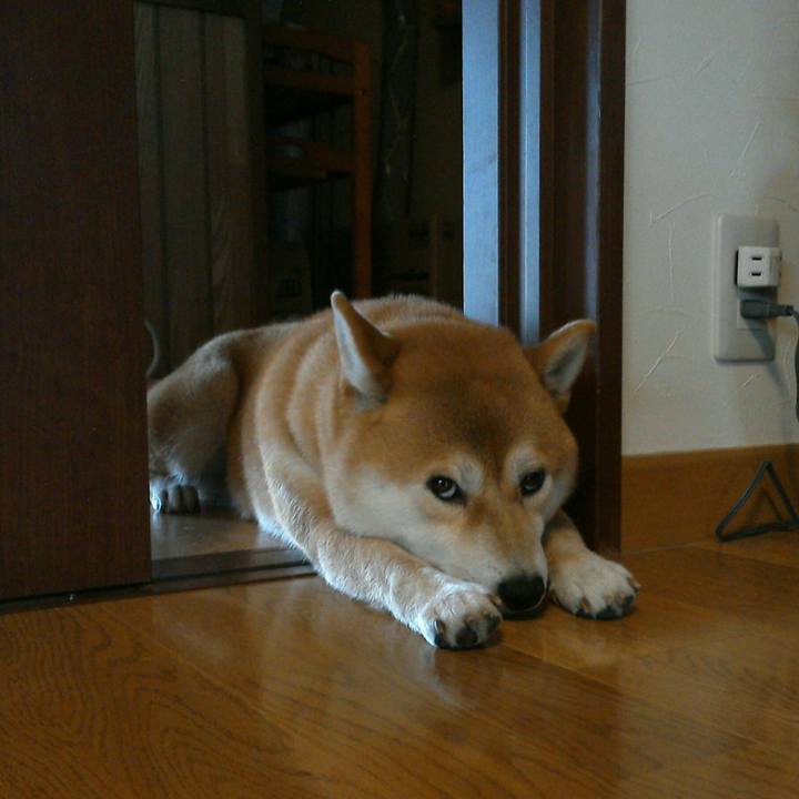 528b5849 4c2f 4356 92ba dbab56af0397