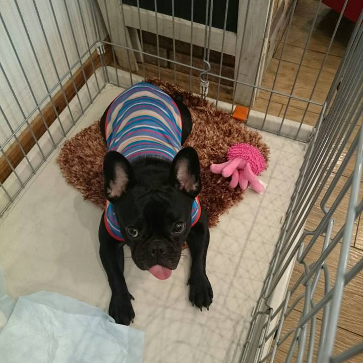 528b765c 09e2 4acd b9cf 7ede6741f12c