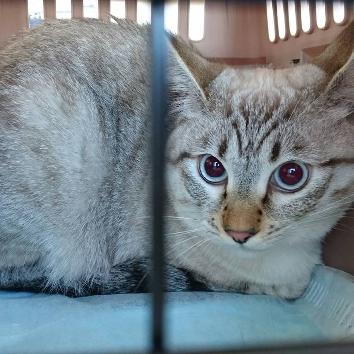 528b9870 3a41 40a6 a813 acb247cd0d29