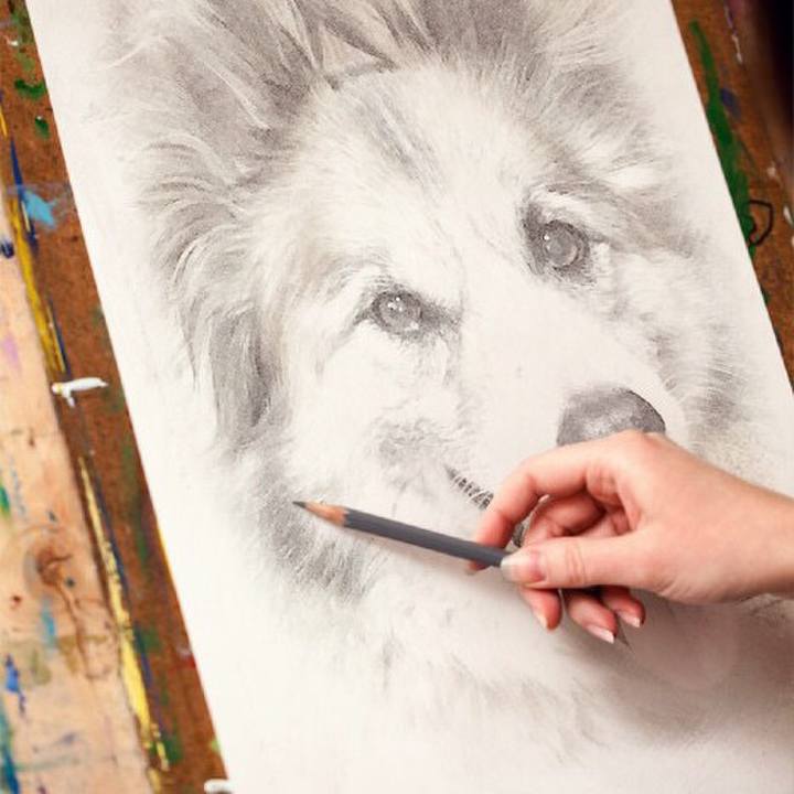 528c8d47 1778 4df9 b274 418df4a5f870