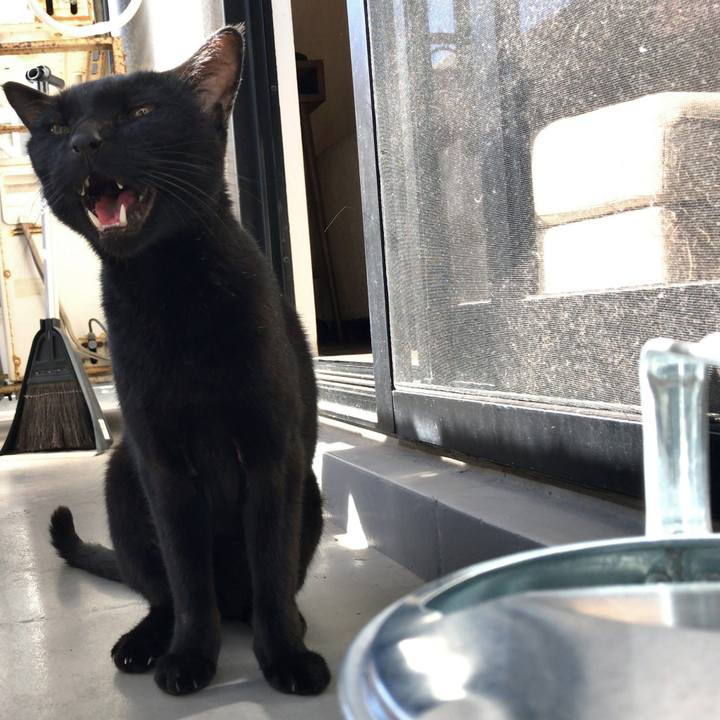 528ca7b4 1770 4a34 a3cb 0f9edce83b5f