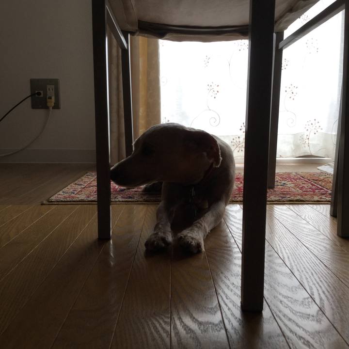 528cc104 7aaf 497b b15c 1dd2a69759c9