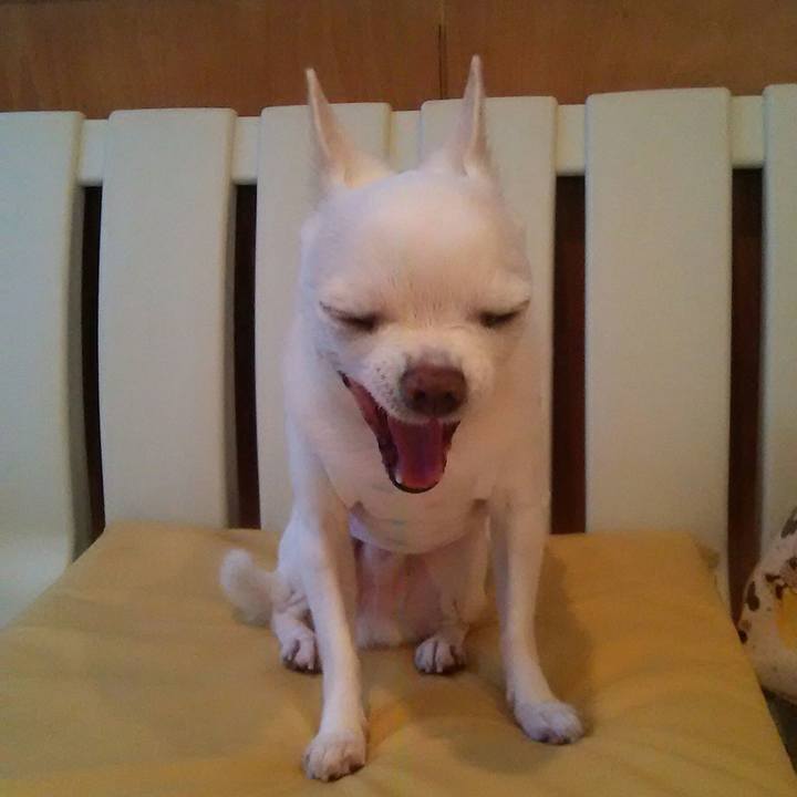 528d667f 765e 4f43 a45f db4e6b190926