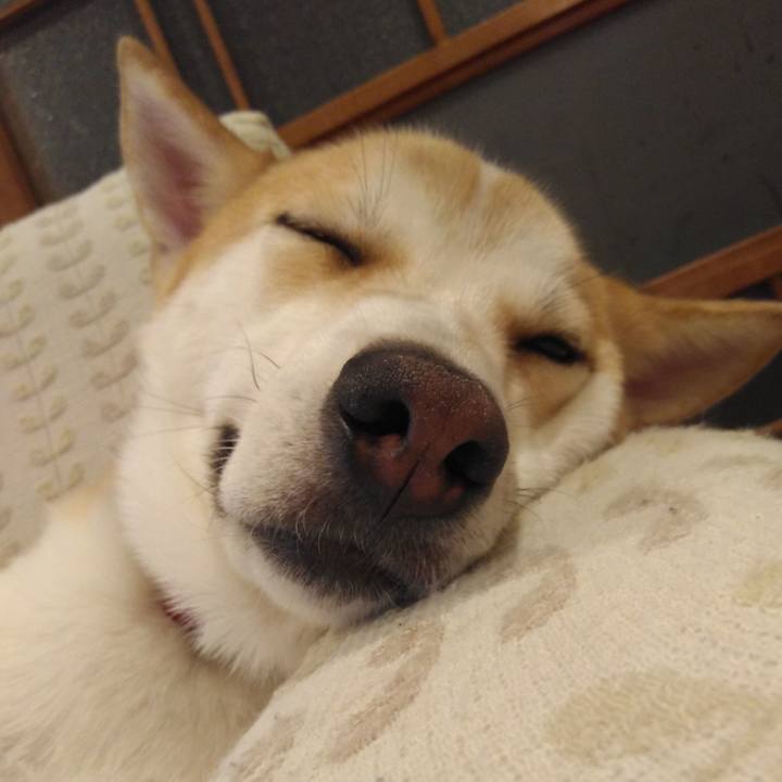 528e533f 14fa 49f6 b264 a1cfc3fefab6