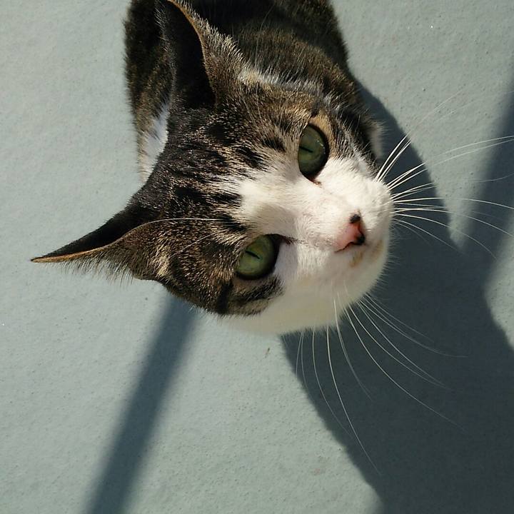 528e5343 a285 4707 855d 48e39ef3a6eb