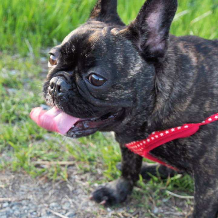 528f461e 638d 43f0 8499 f83b4675d50f