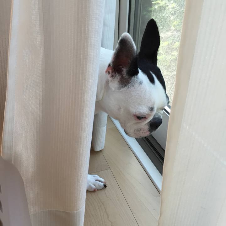 528f99b7 dccc 4b7a a166 a7d598844545